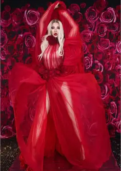 Kırmızı Çiçekler See Through Elbise Doğum Günü Kutlamak Elbise Akşam Bar Şarkıcı Gösterisi Sahne Kıyafeti Dans Uzun