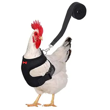 Tavuk Tasma Ayarlanabilir Tavuk Koşum Ve Yelek Tavuklar İçin Tavuk Aksesuarları Ördek Koşum Elastik Kayış İle Küçük Evcil Hayvan İçin